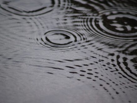 NATUR – Fotografie 3