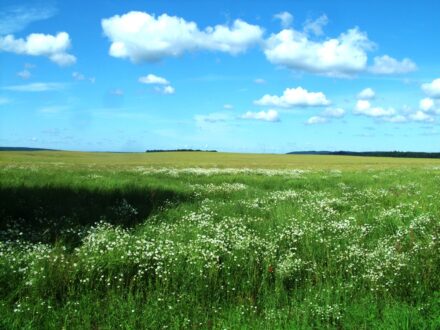 NATUR – Fotografie 4