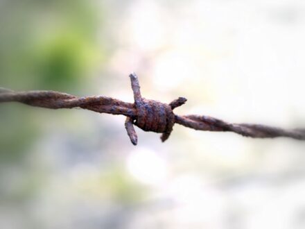 STILL LEBEN – Fotografie 5