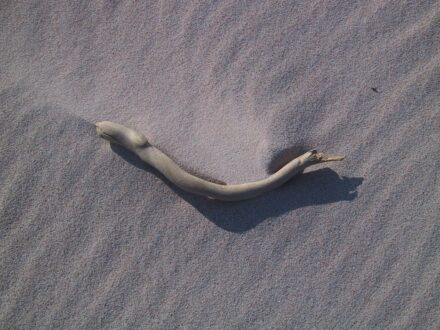 STRANDGUT – Fotografie 12